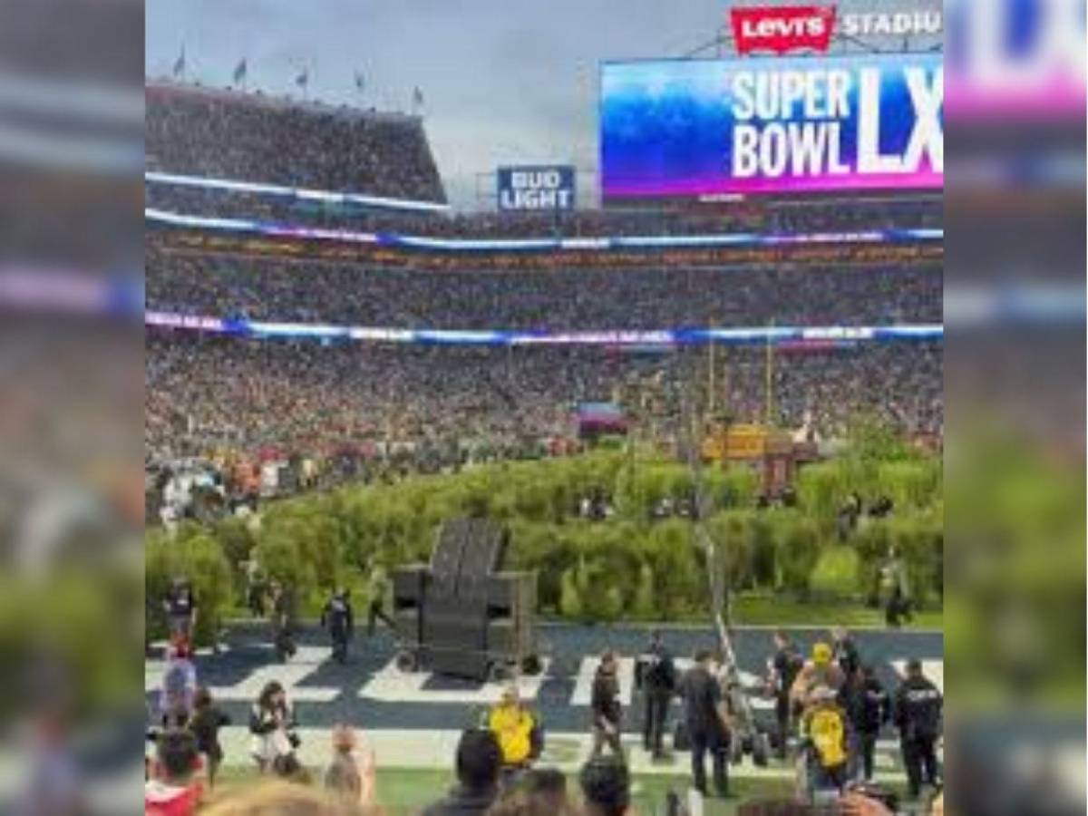 ¿Cuánto ganaron los arbustos que acompañaron a Bad Bunny en el Super Bowl?