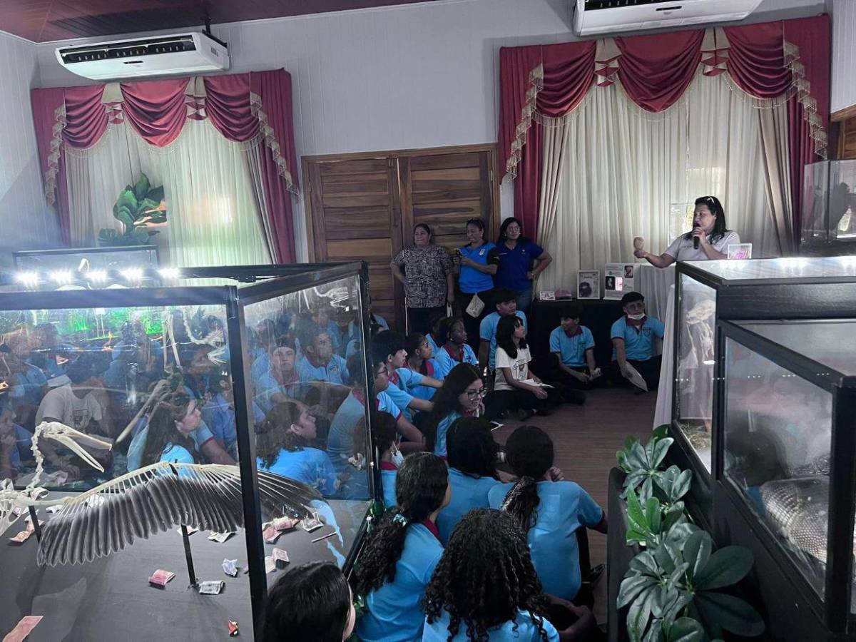 Hondureño transforma placentas en arte y huesos en esculturas sorprendentes