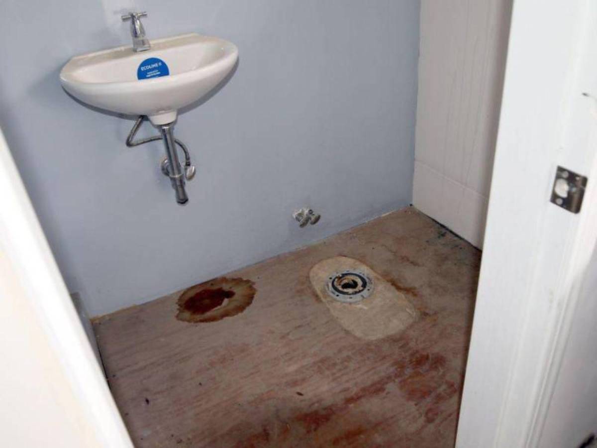 Se robaron los sanitarios y las casas son habitadas por vacas: crisis en Lomas del Diamante