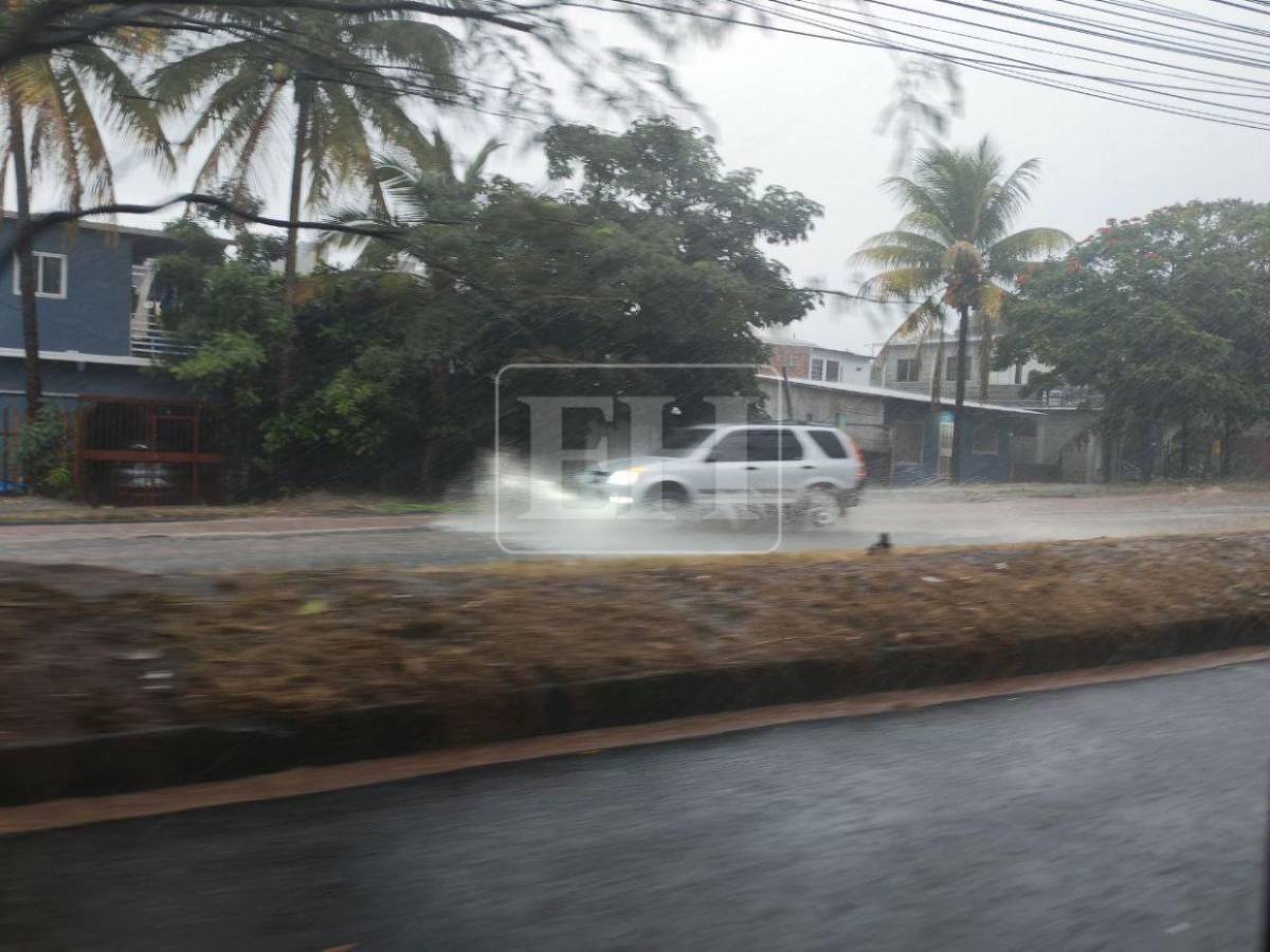 Tormentas eléctricas por onda tropical: zonas que deben tomar medidas por fuertes lluvias este domingo