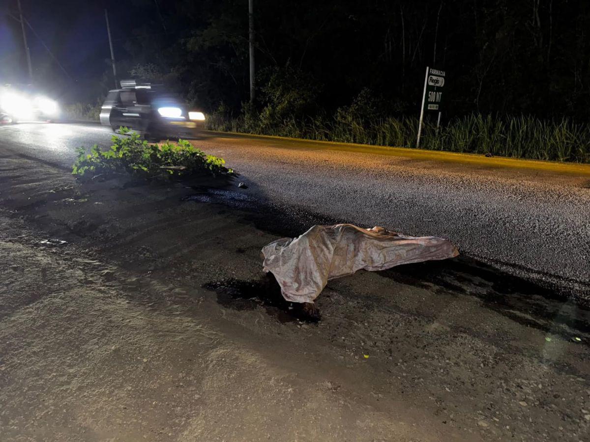 Superó el límite de alcohol en sangre: capturan al conductor que atropelló a la pequeña Sofía y a su madre