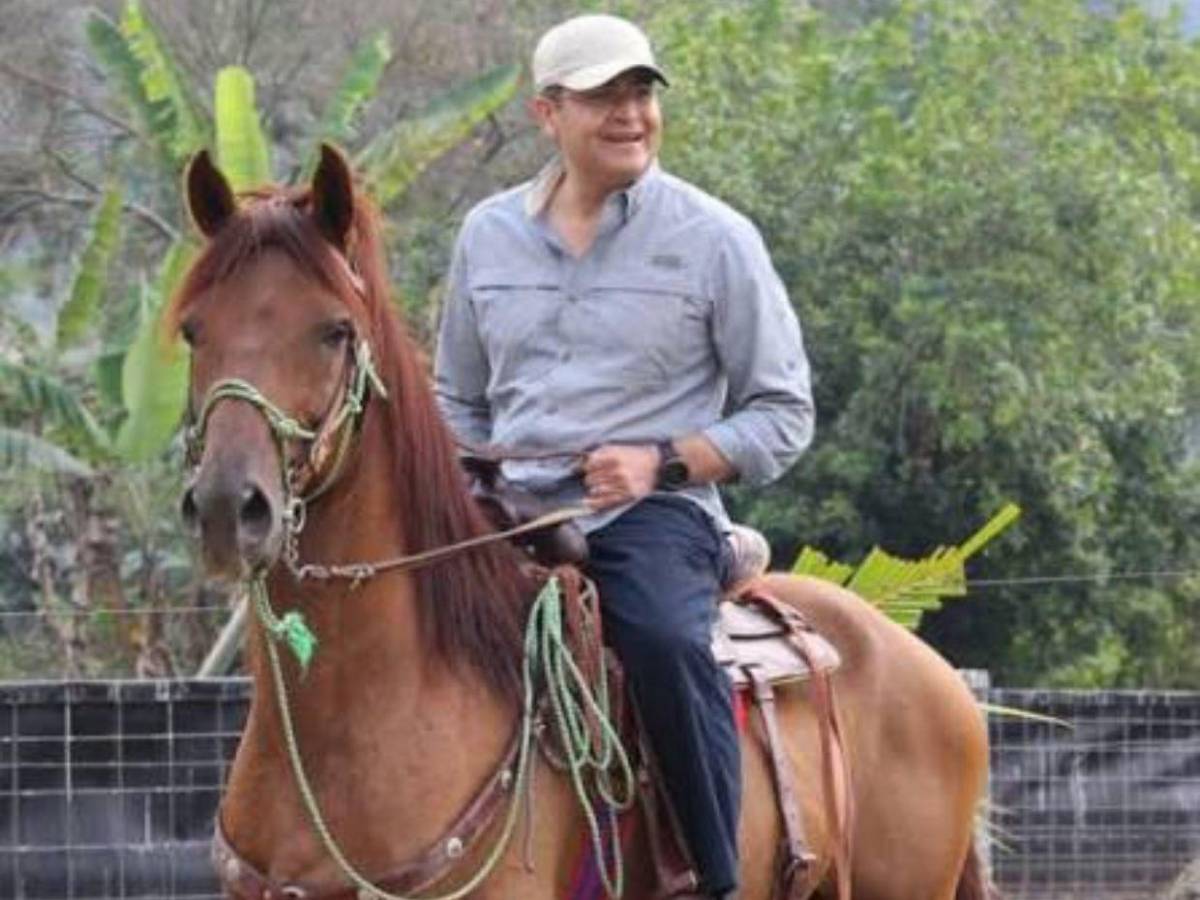 Una finca modelo:  Juan Orlando Hernández revela cuáles son sus planes al volver a Honduras
