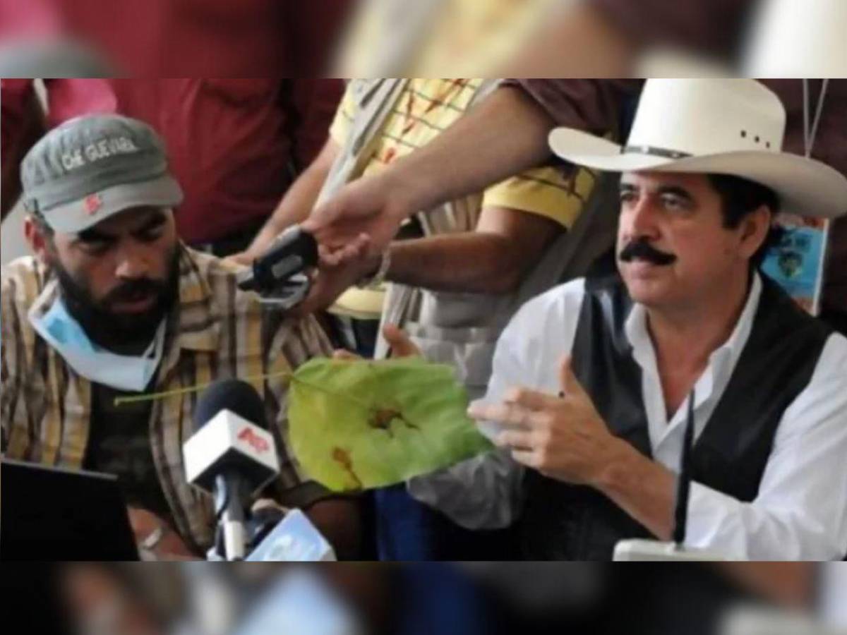 ¿Cuánto gana El Perro Amarillo en el gobierno y cuáles han sido sus funciones como asesor?