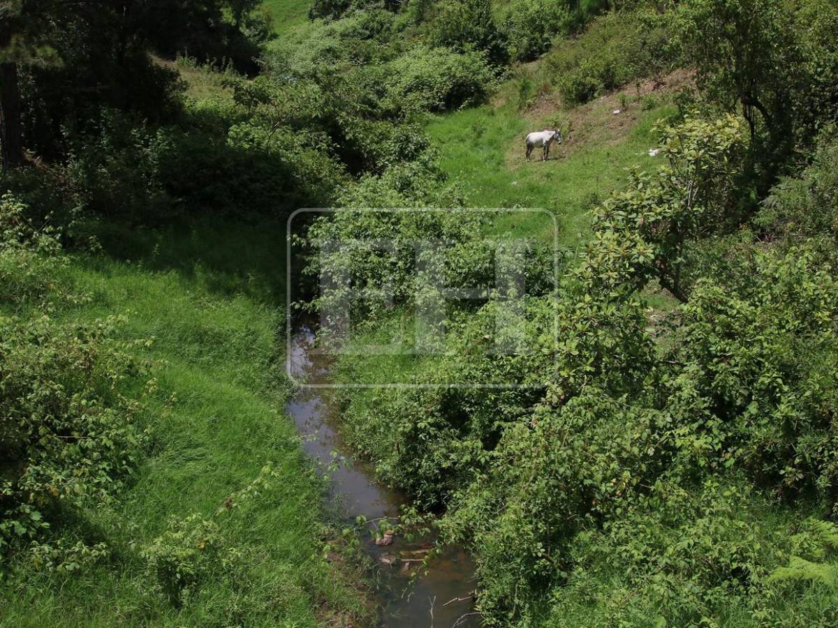 Ausencia total del río es lo que hay en montañas que abastecen de agua a la capital