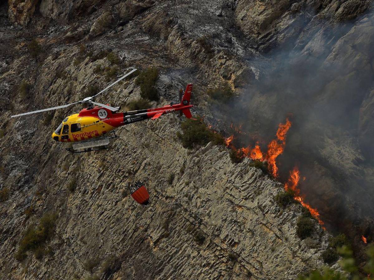 Miles de hectáreas arrasadas por incendios forestales en España