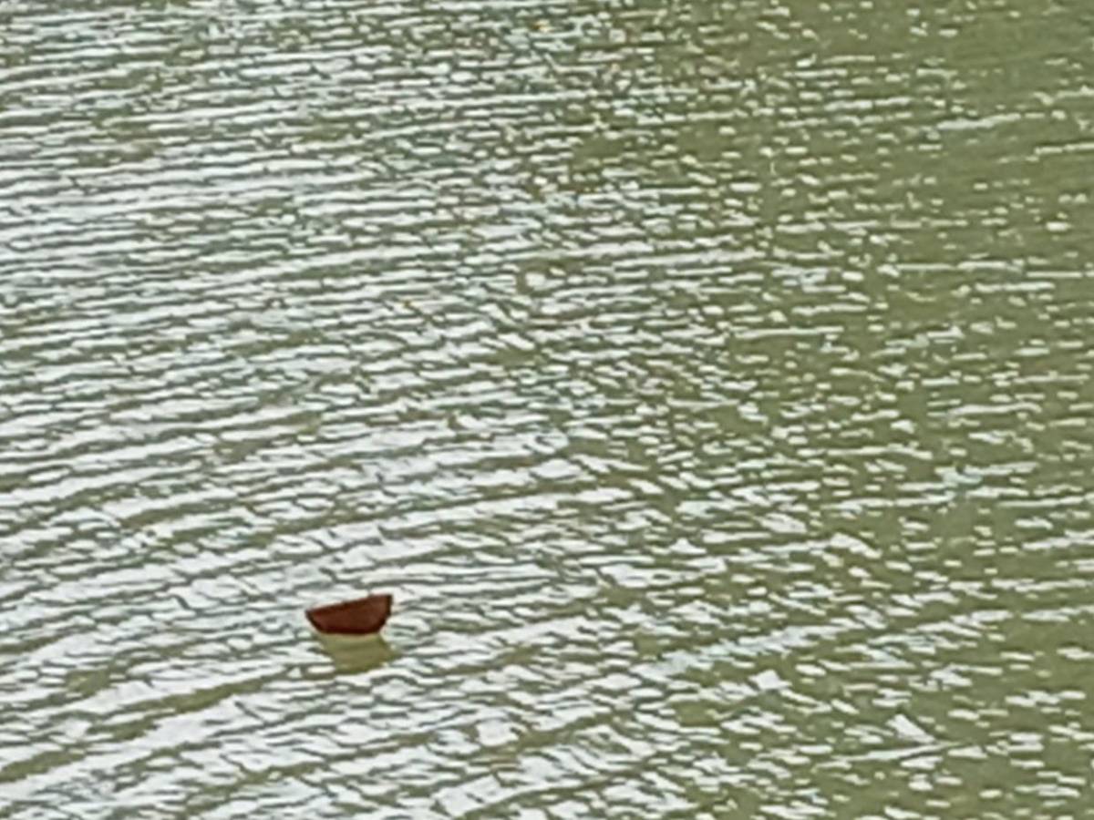 Danilo Pineda, reconocido empresario desaparecido en una poza en Santa Cruz de Yojoa