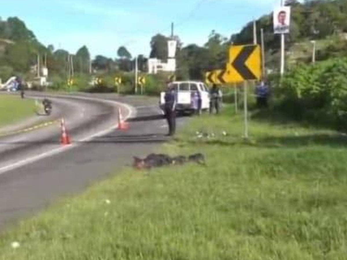 Tenía mutilaciones en el rostro: lo que se sabe del hombre embolsado en la CA-5