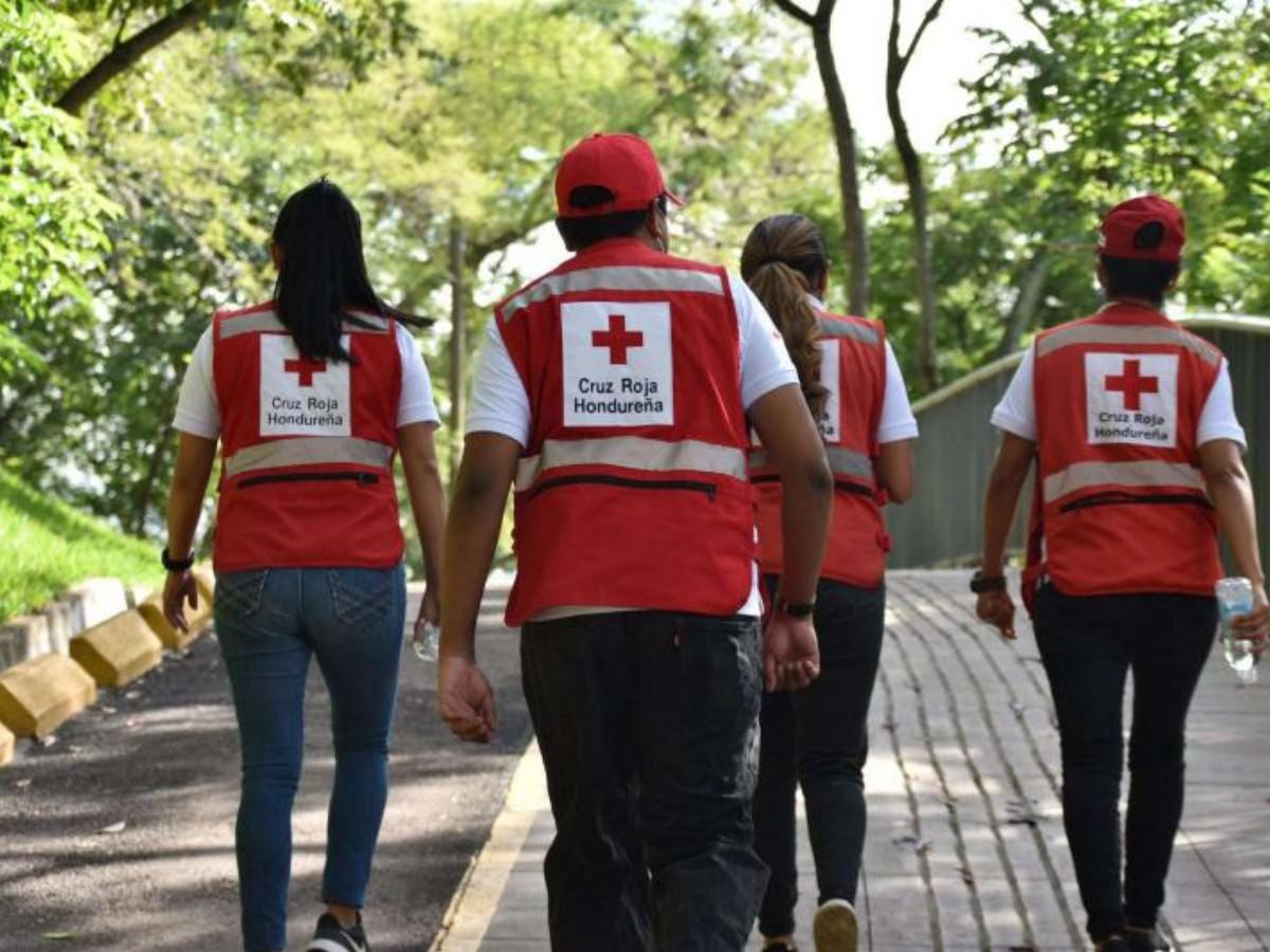 ¿Quiere ser voluntarios de la Cruz Roja? Ya está la convocatoria