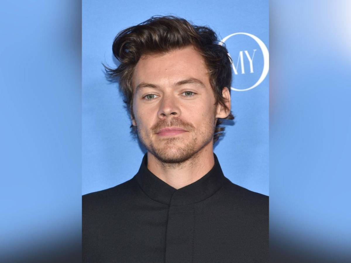 Harry Styles: su camino antes de alcanzar el éxito en la música