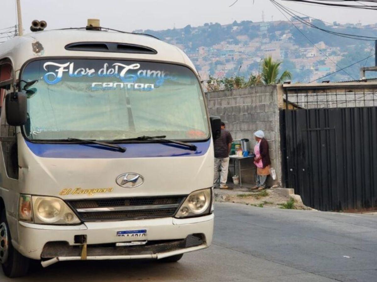 Merary Tomé, de 14 años, desapareció en la Flor del Campo y fue hallada muerta y dentro de bolsas