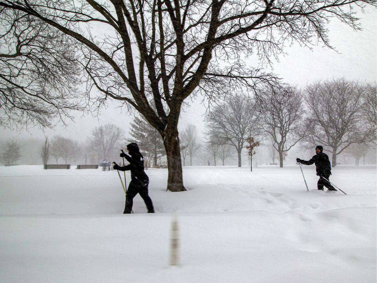 Toronto, la ciudad canadiense paralizada por la caída de 60 centímetros de nieve
