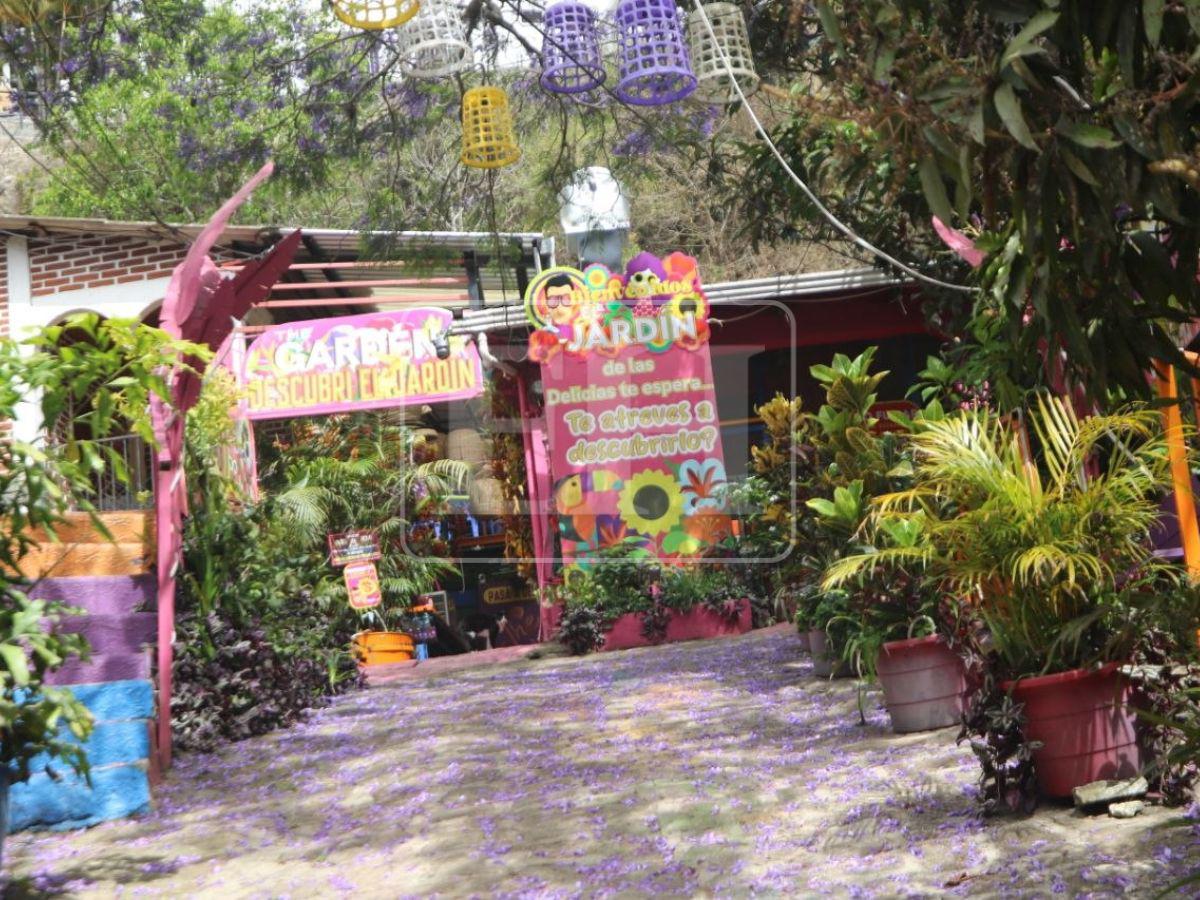 Laguna, paisajes y comida: Santa Lucía, el lugar de escape para esta Semana Santa