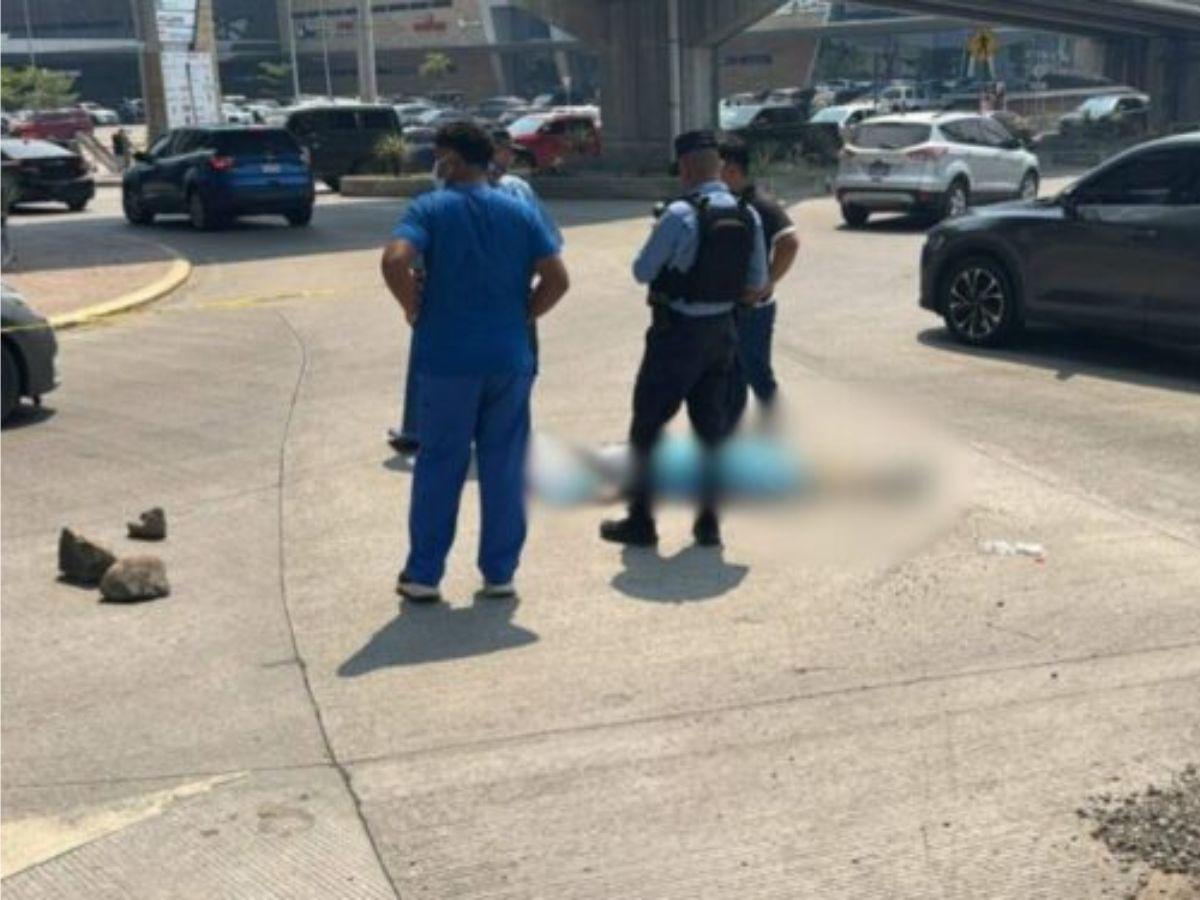 María Isabel Díaz, madre que cayó desde un puente a desnivel en SPS y murió