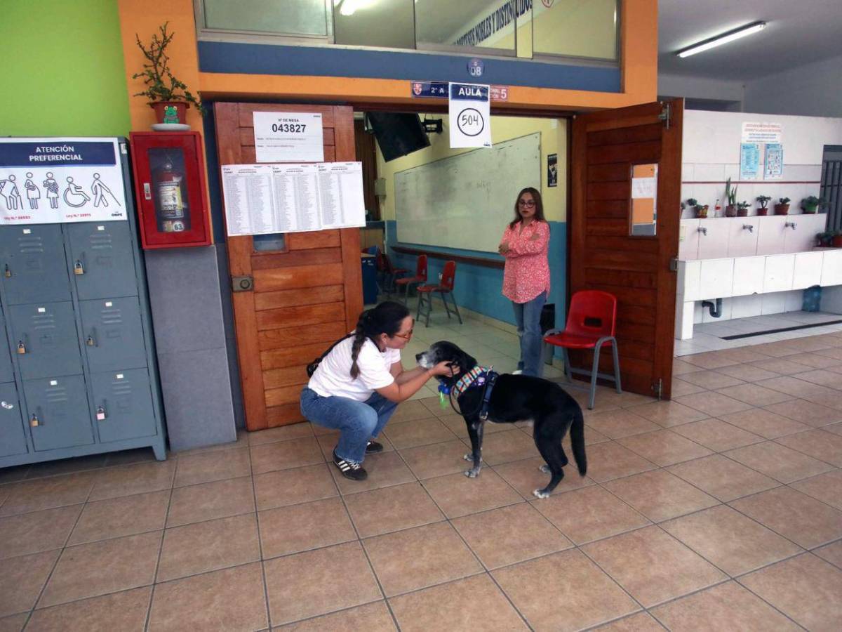Segunda vuelta con falta de material en mesas: así se desarrollan las elecciones en Perú