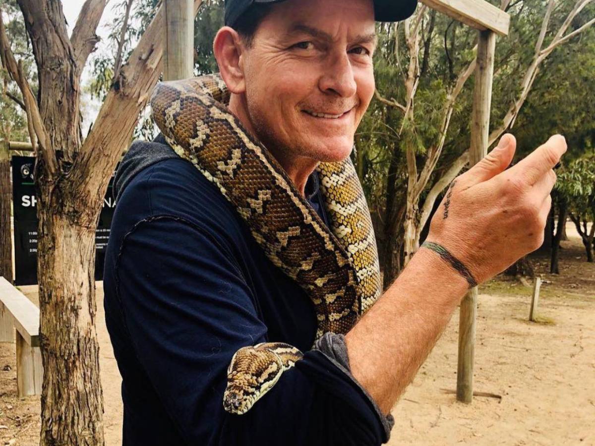 Charlie Sheen revela casi una década de celibato y confiesa su historial con las drogas