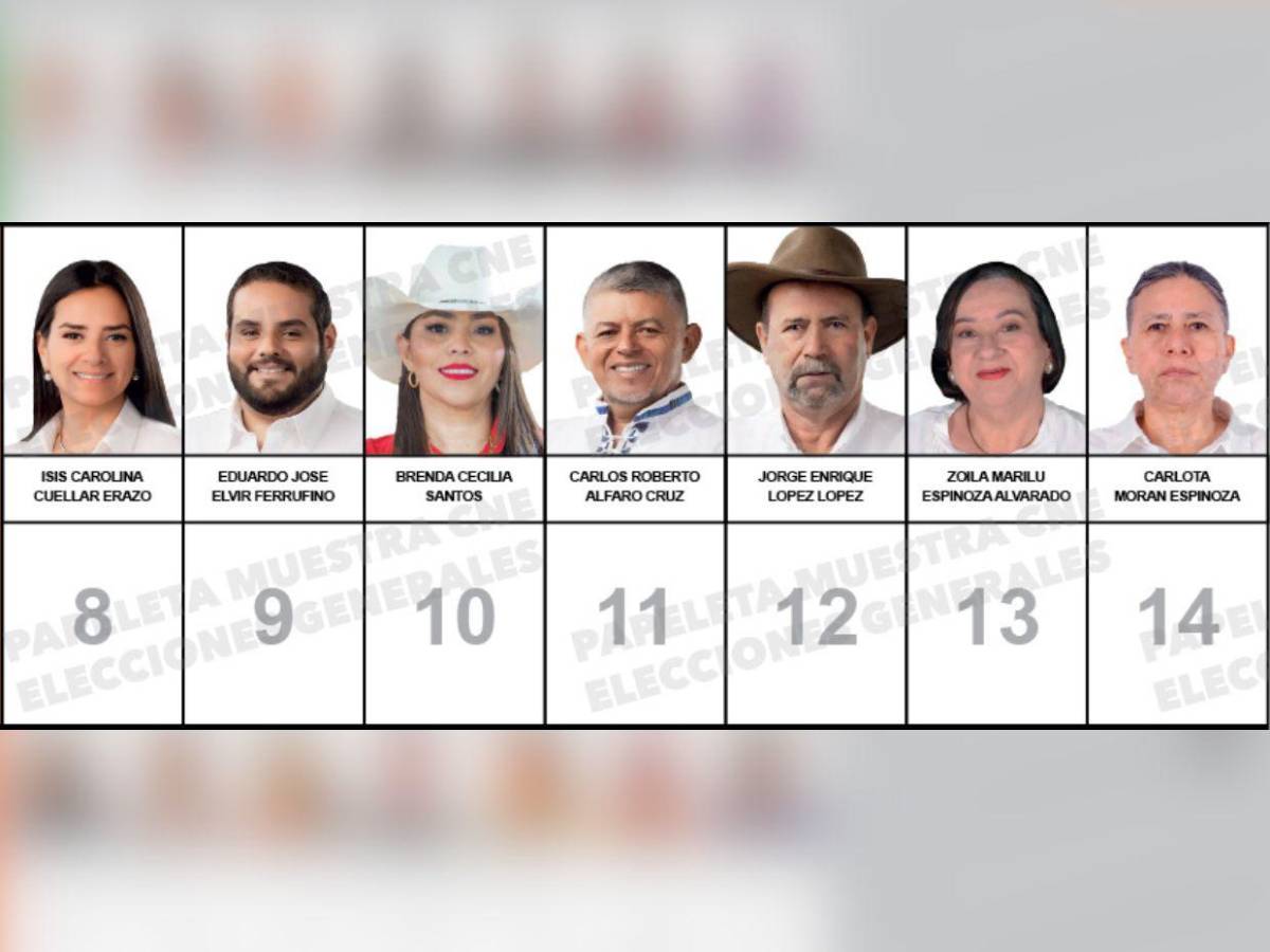 Rostros nuevos y otros que buscan reelección: candidatos a diputados por Copán