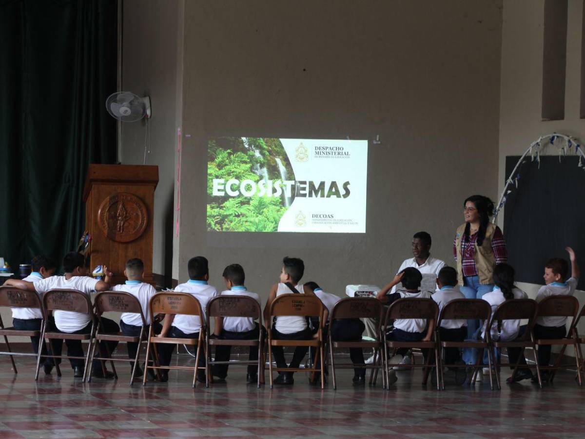 Dados, ecosistemas, energía y bingo: Así finaliza la Semana 4 de EAA