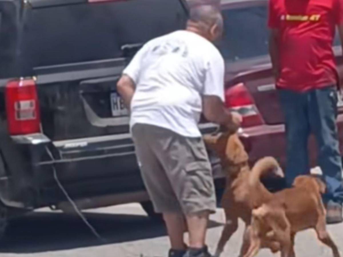 Detienen al hombre que arrastraba a un perro con su carro en Choloma