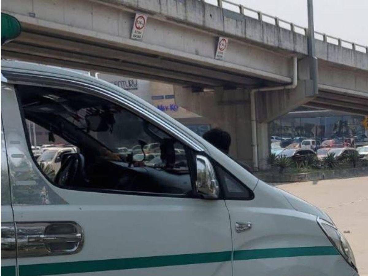 María Isabel Díaz, madre que cayó desde un puente a desnivel en SPS y murió