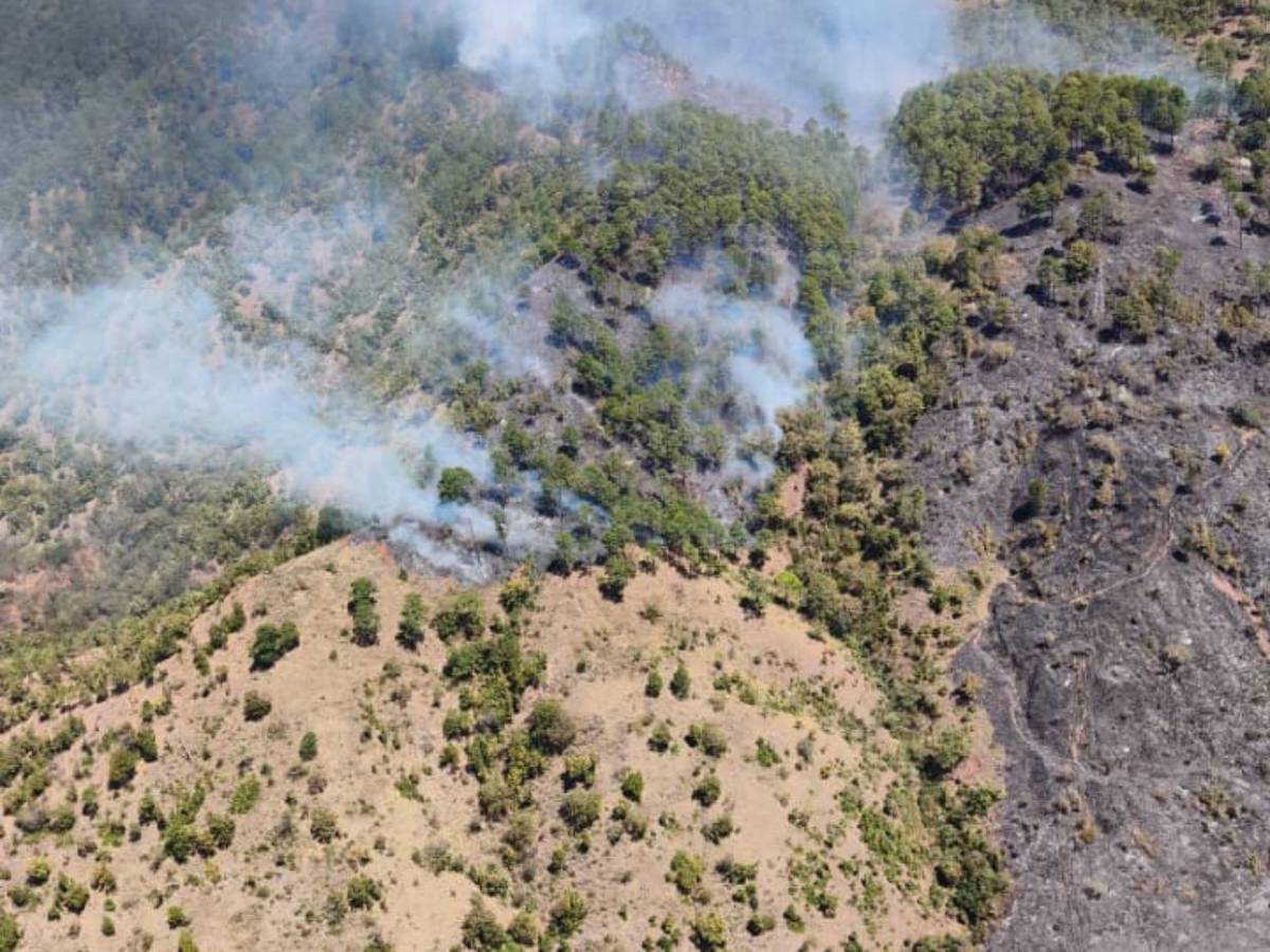 FF AA combaten siete incendios forestales en distintas zonas del país