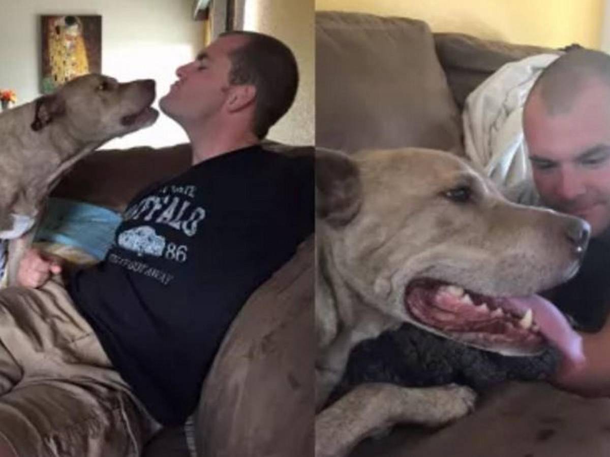 ¿Quién era Matthew Alan Livelsberger, autor del atentado con un Tesla en Las Vegas?