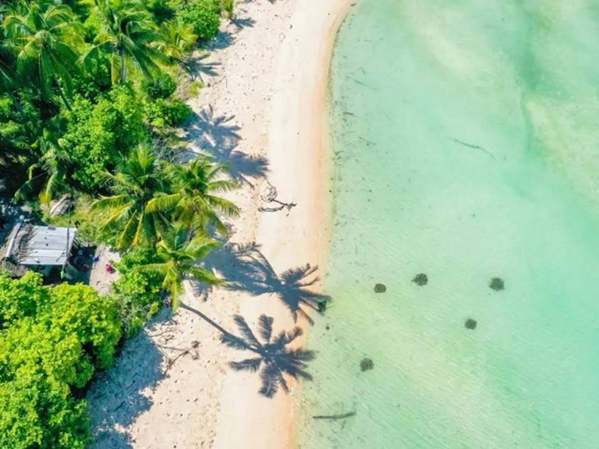 ¿Qué país del mundo recibe primero el Año Nuevo 2026 y por qué?