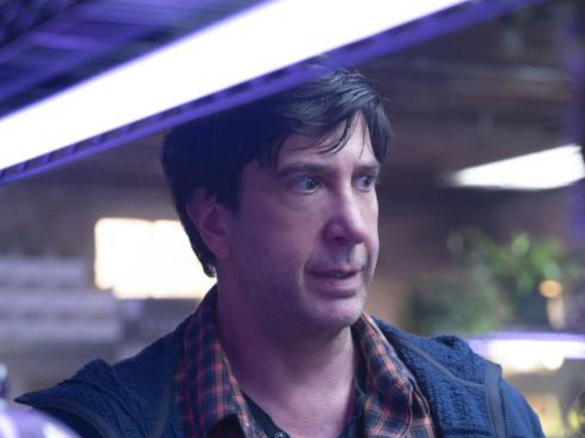 ¿David Schwimmer encontró el amor a los 58 años con una estudiante de medicina?