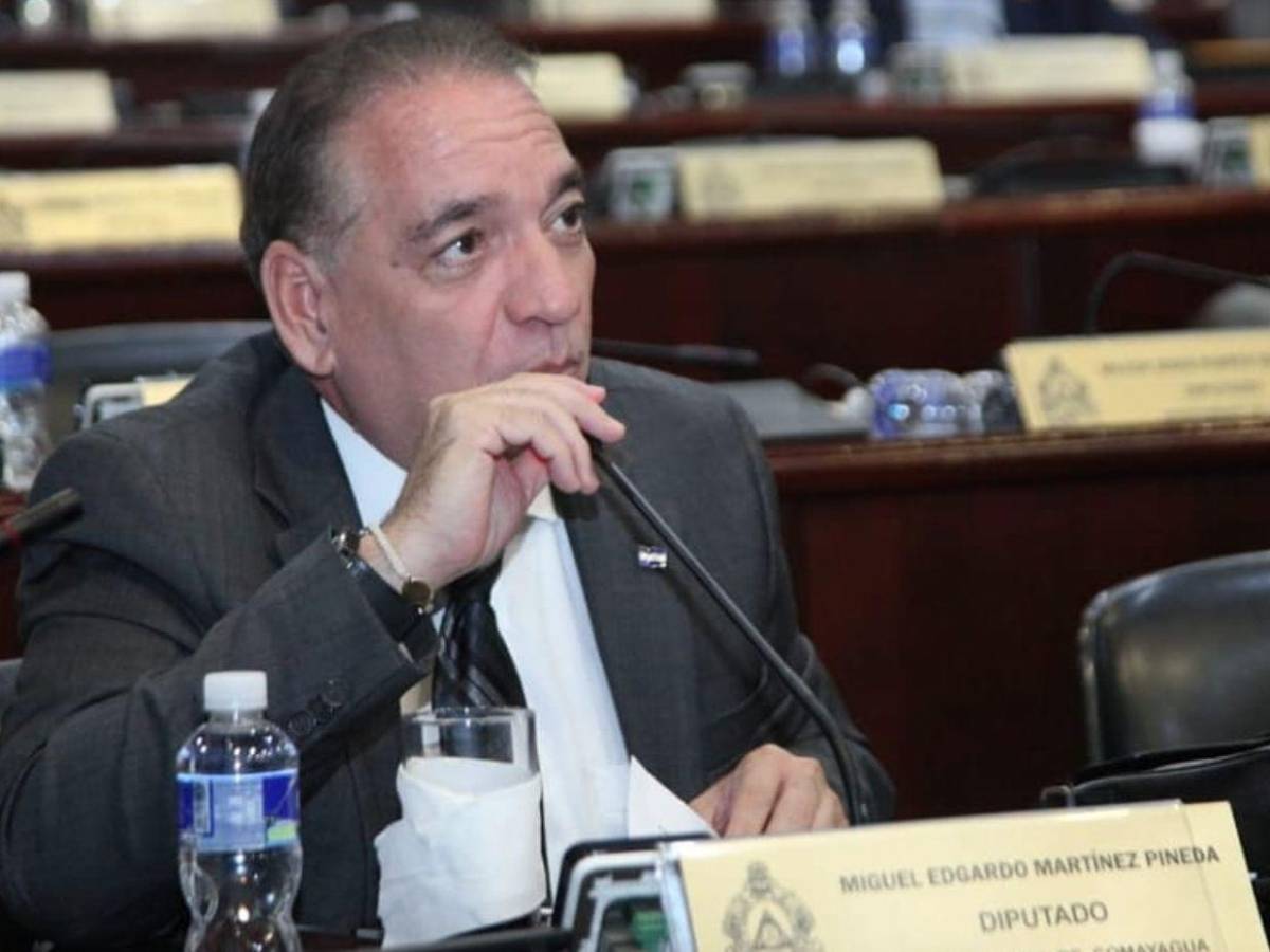 ¿Quiénes son los diputados electos por Honduras al Parlacen y cuánto ganarán?