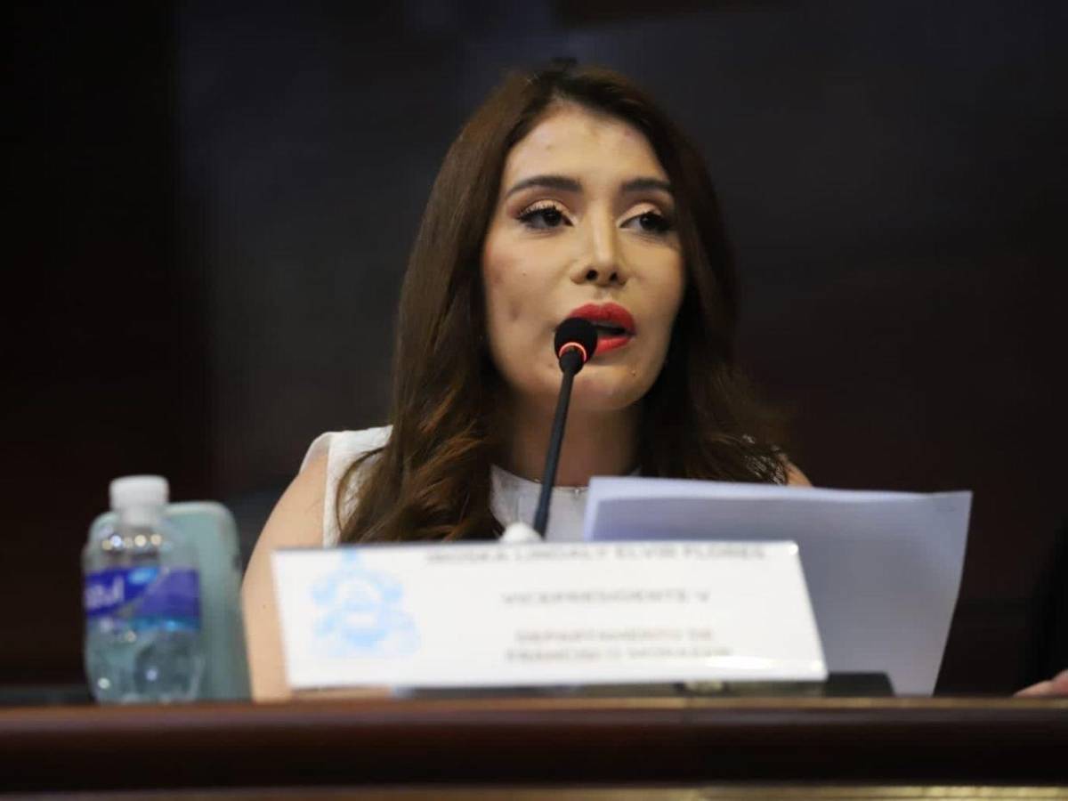 ¿Qué diputados no votaron para aprobar la Ley de Justicia Energética?