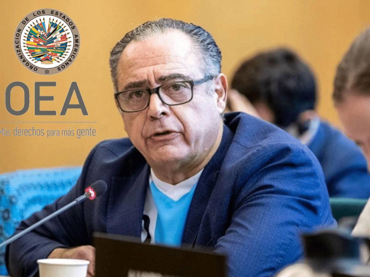 ¿Quién es Carlos Bernardo Cherniak, embajador que cuestionó a Marlon Ochoa en la OEA?