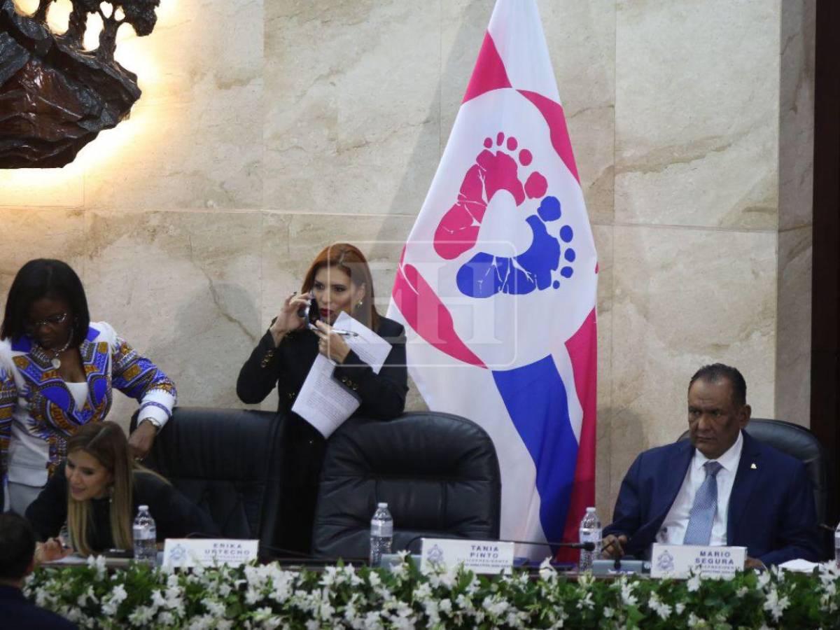 ¿Qué significa la bandera blanca junto a la de Honduras en la parte frontal del Congreso?
