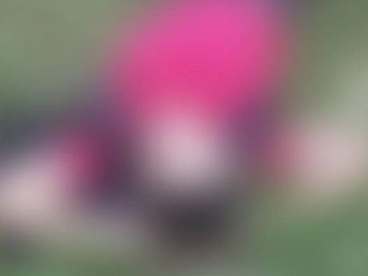 La policía lo había detenido y fue encontrado muerto: crimen de Ángelo García en La Ceiba