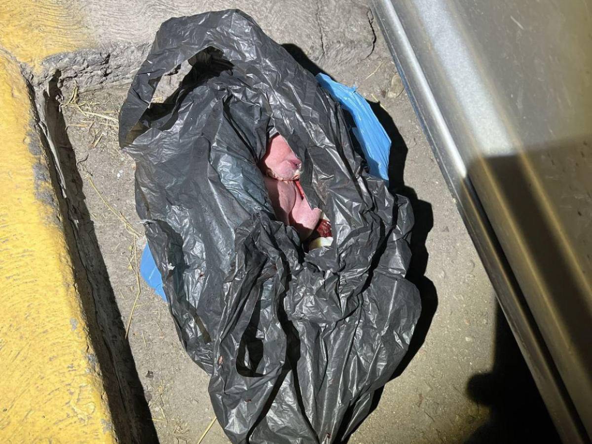 A prisión padres de bebé abandonado en bolsa en Tultitlán: “Tenemos que tirar eso”