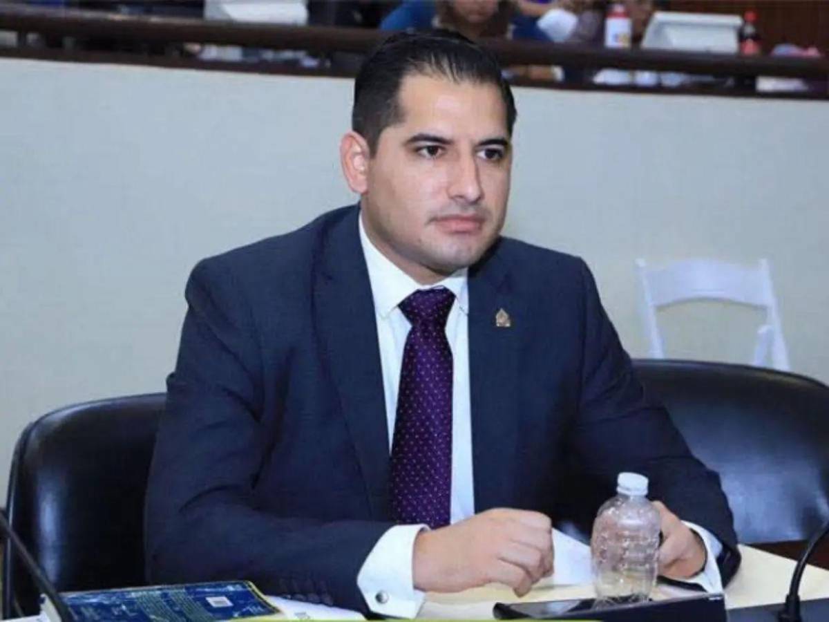 Iroshka, Tomás y hasta Godofredo: candidatos a diputados que estarían quedando en el CN