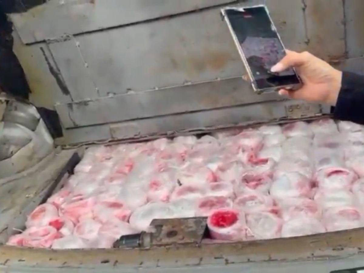 Caletas y hasta falsa indumentaria de la DEA decomisan en allanamientos en SPS