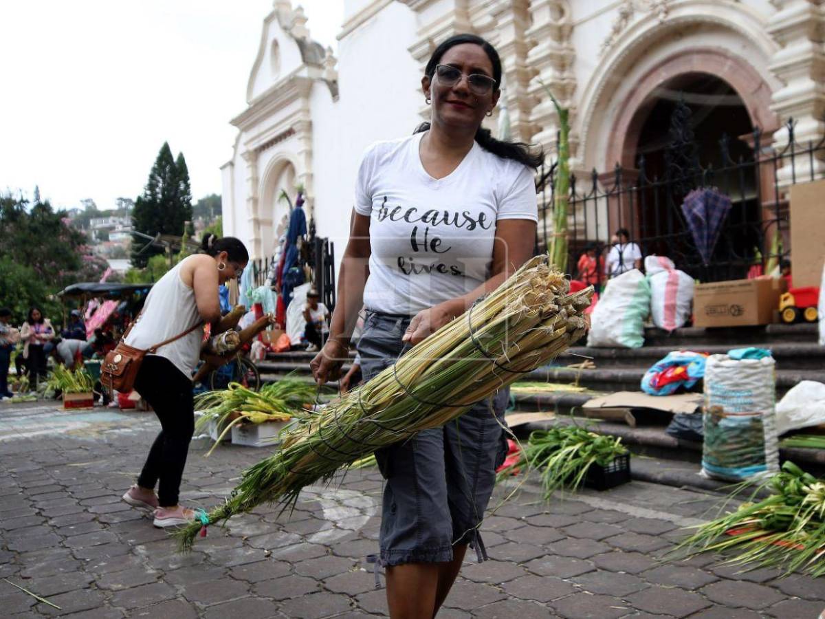Tegucigalpa se viste de fe: inicia venta de ramos y cruces de palma en la capital
