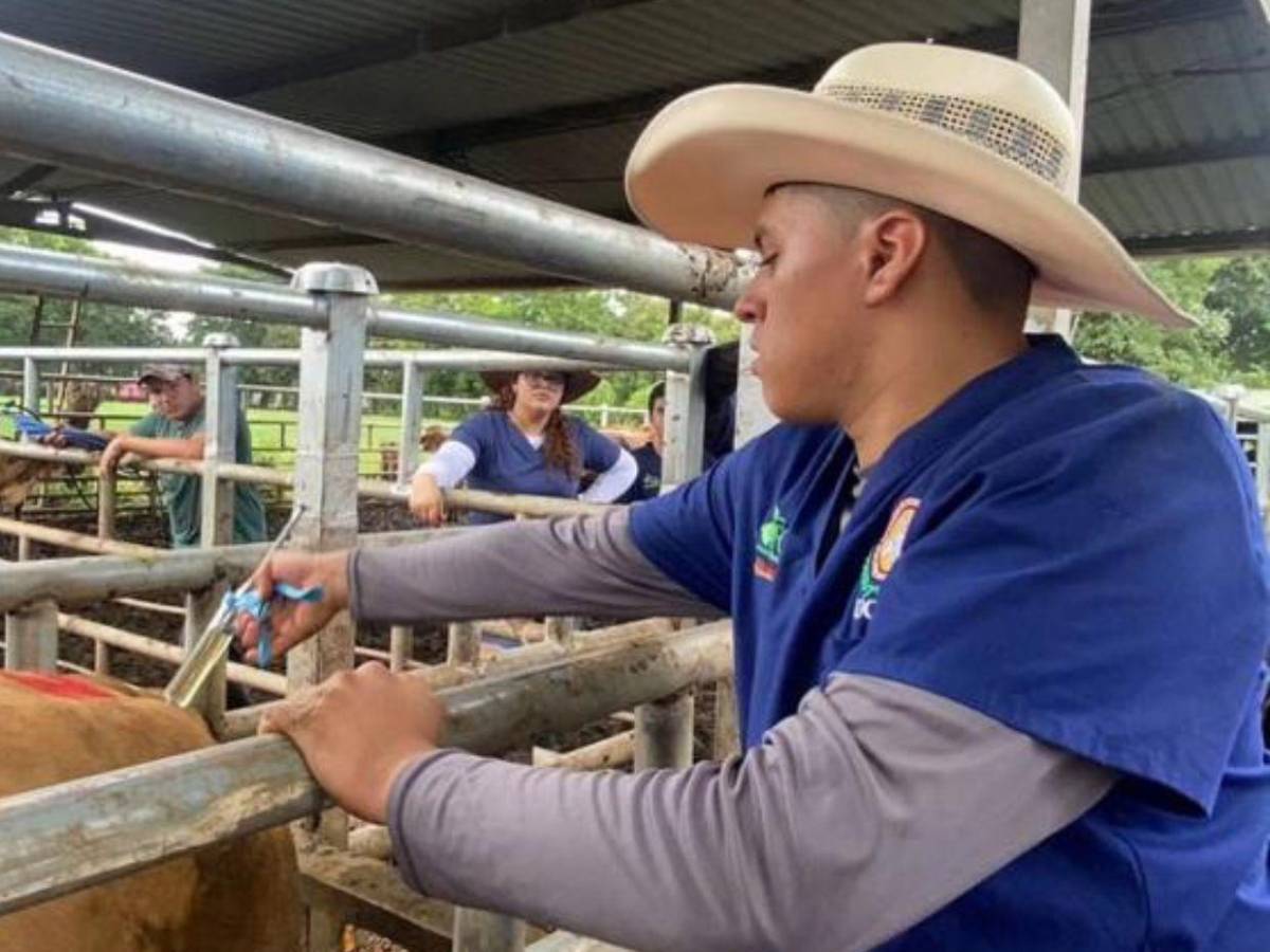 Así era Elkin Munguía, jinete olanchano que murió en accidente en Nicaragua