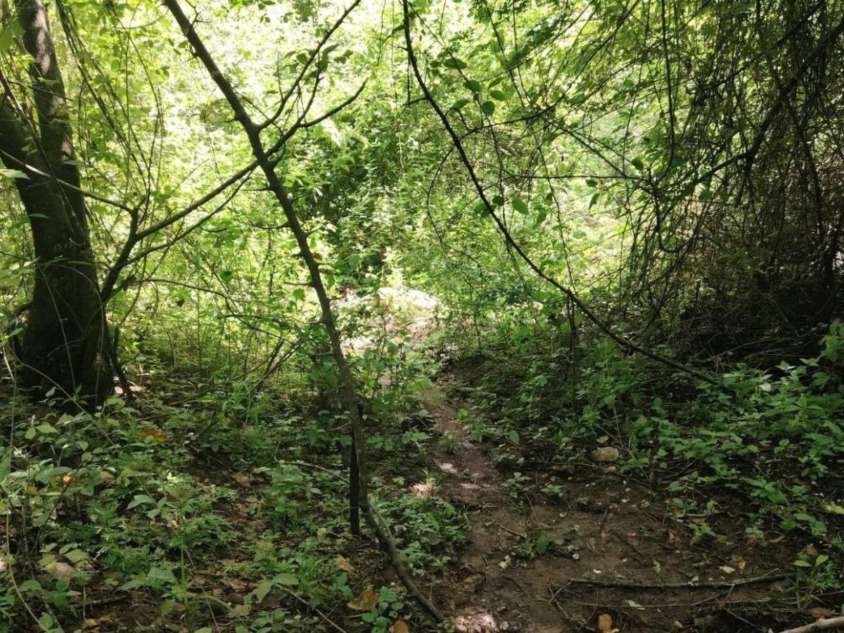 Cerca de una maleta con ropa, así fue hallado el cadáver de una mujer en Santa Bárbara