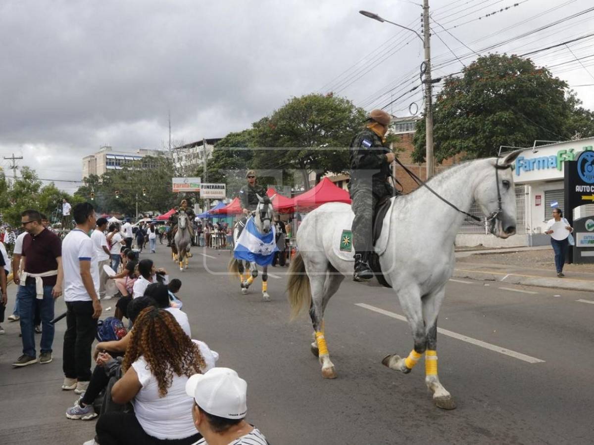 Las curiosidades que dejan los desfiles patrios del 15 de septiembre