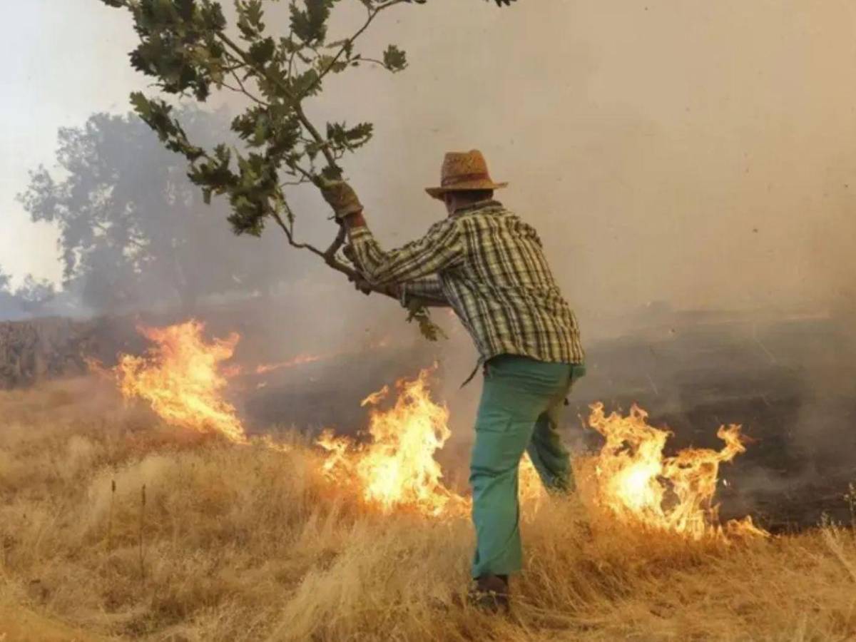 77,000 hectáreas quemadas en el centro de España mientras empieza a contenerse el fuego