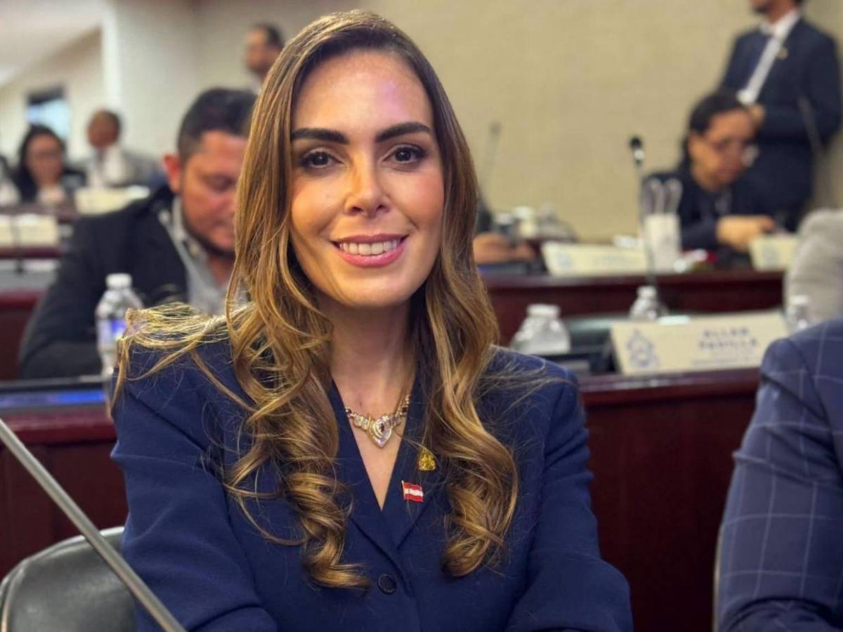 ¿Qué diputados no votaron para aprobar la Ley de Justicia Energética?