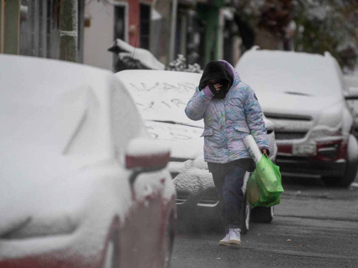 Onda gélida afecta al norte de México con temperaturas bajo cero