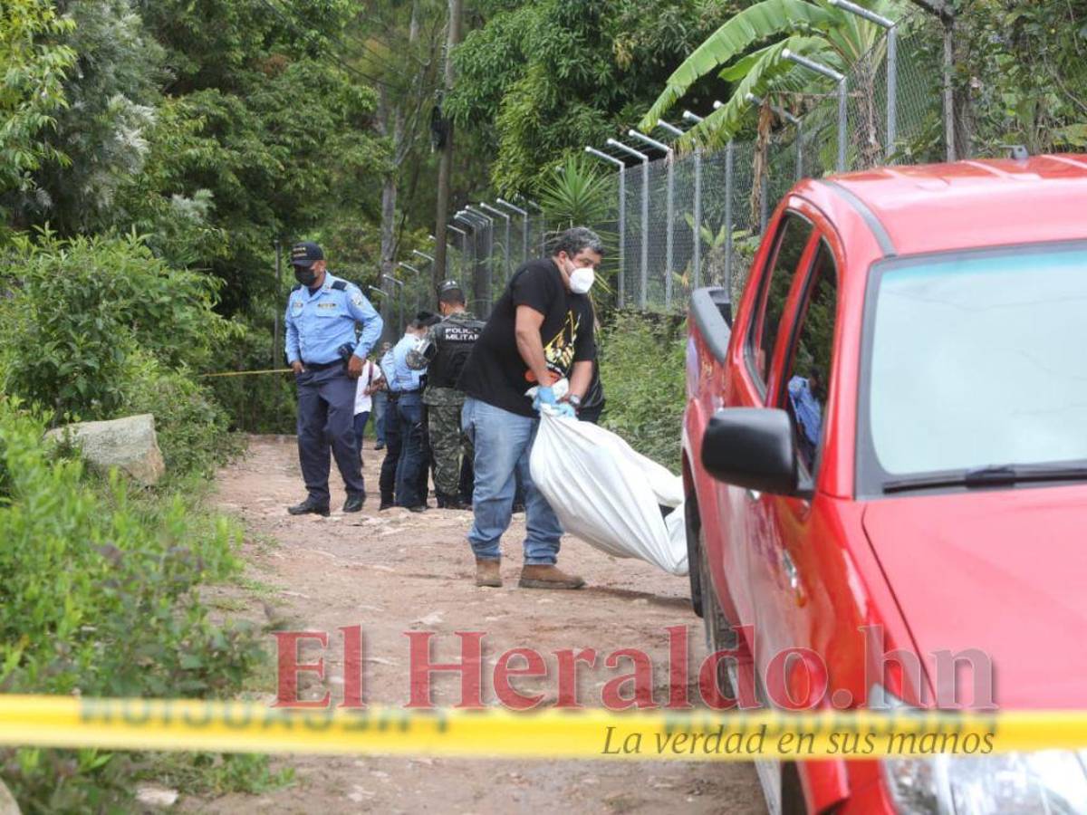 Hombre muere tras ser atacado por una manada de perros en El Sauce, Valle de Ángeles
