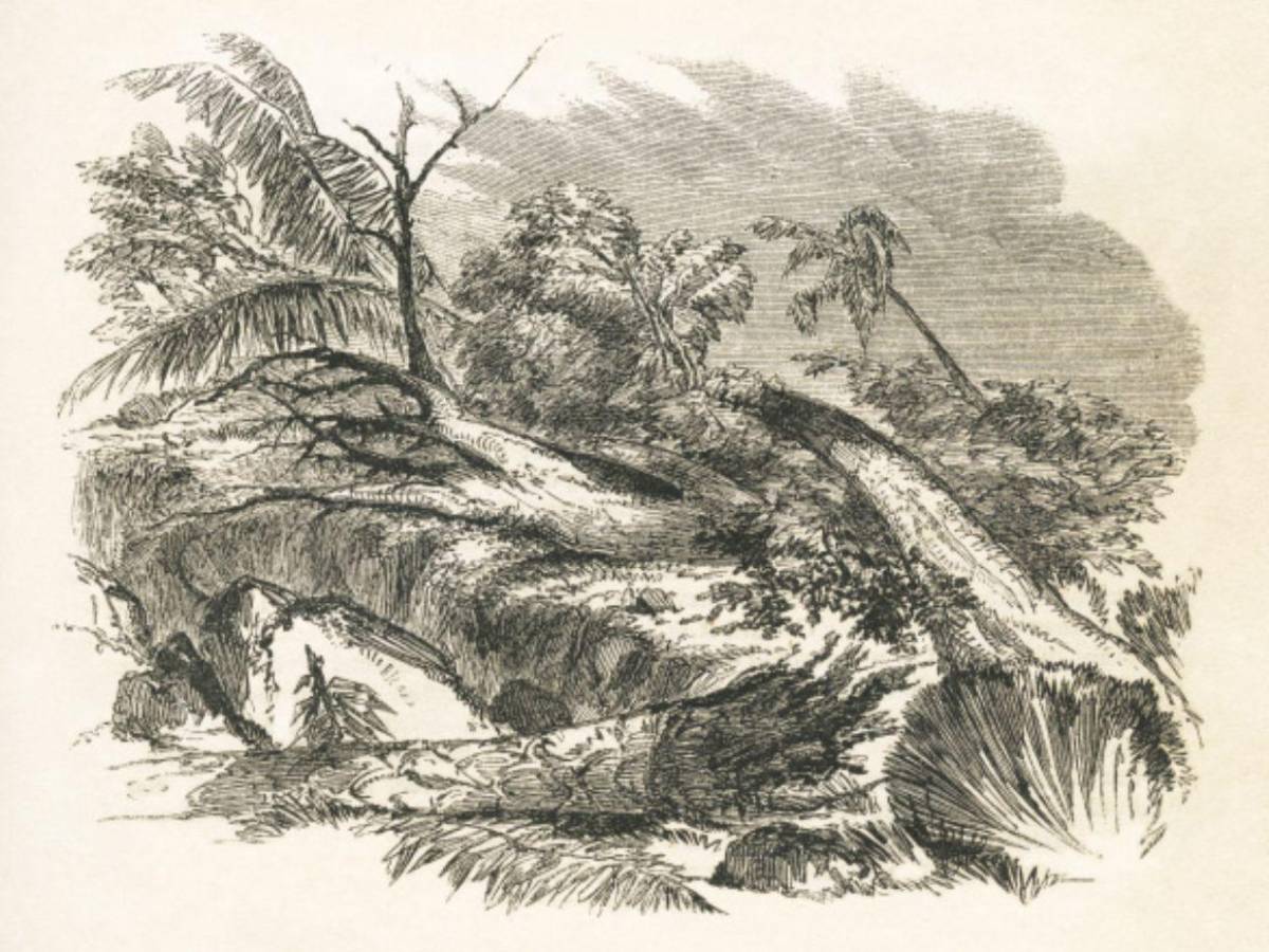 Historia: La vez que hubo en Honduras un terremoto de 8 grados y luego un tsunami