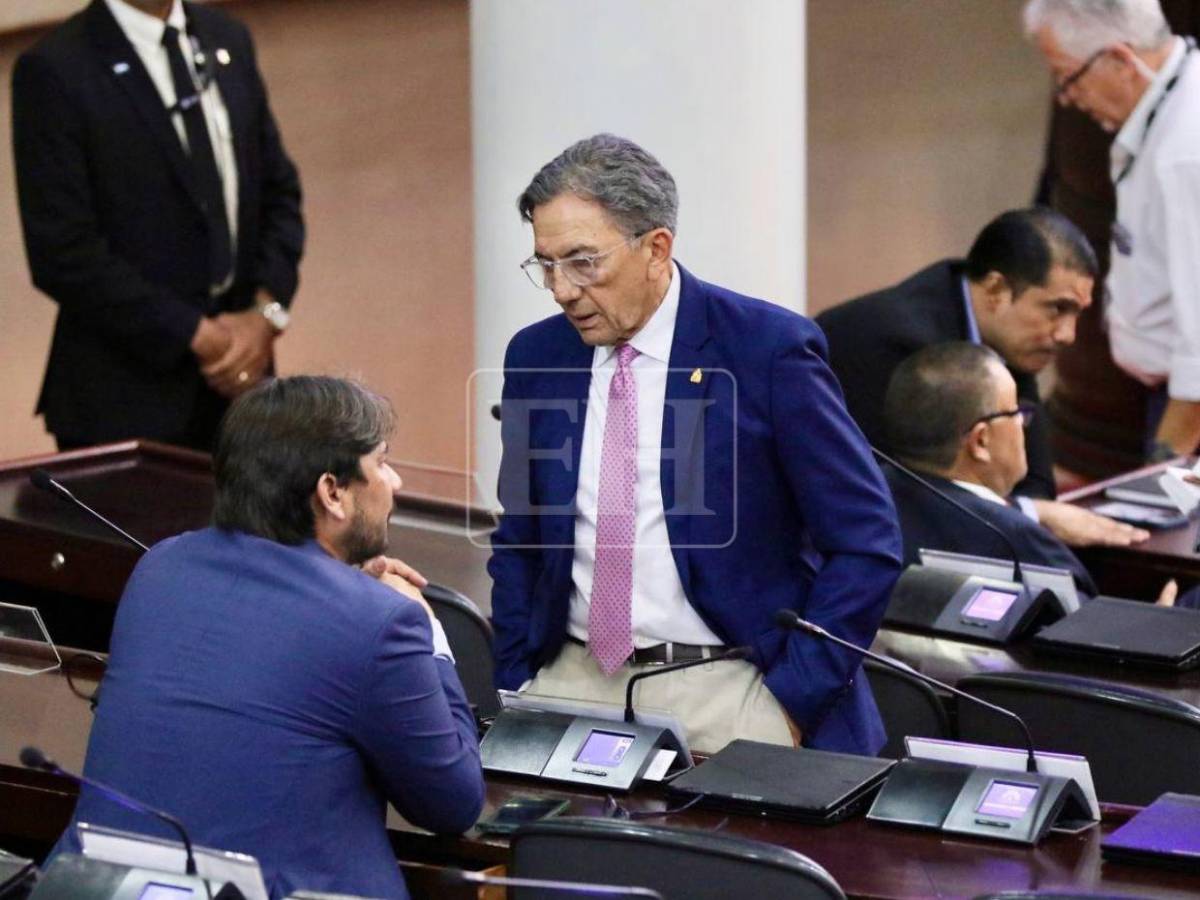 ¿Qué diputados no votaron para aprobar la Ley de Justicia Energética?