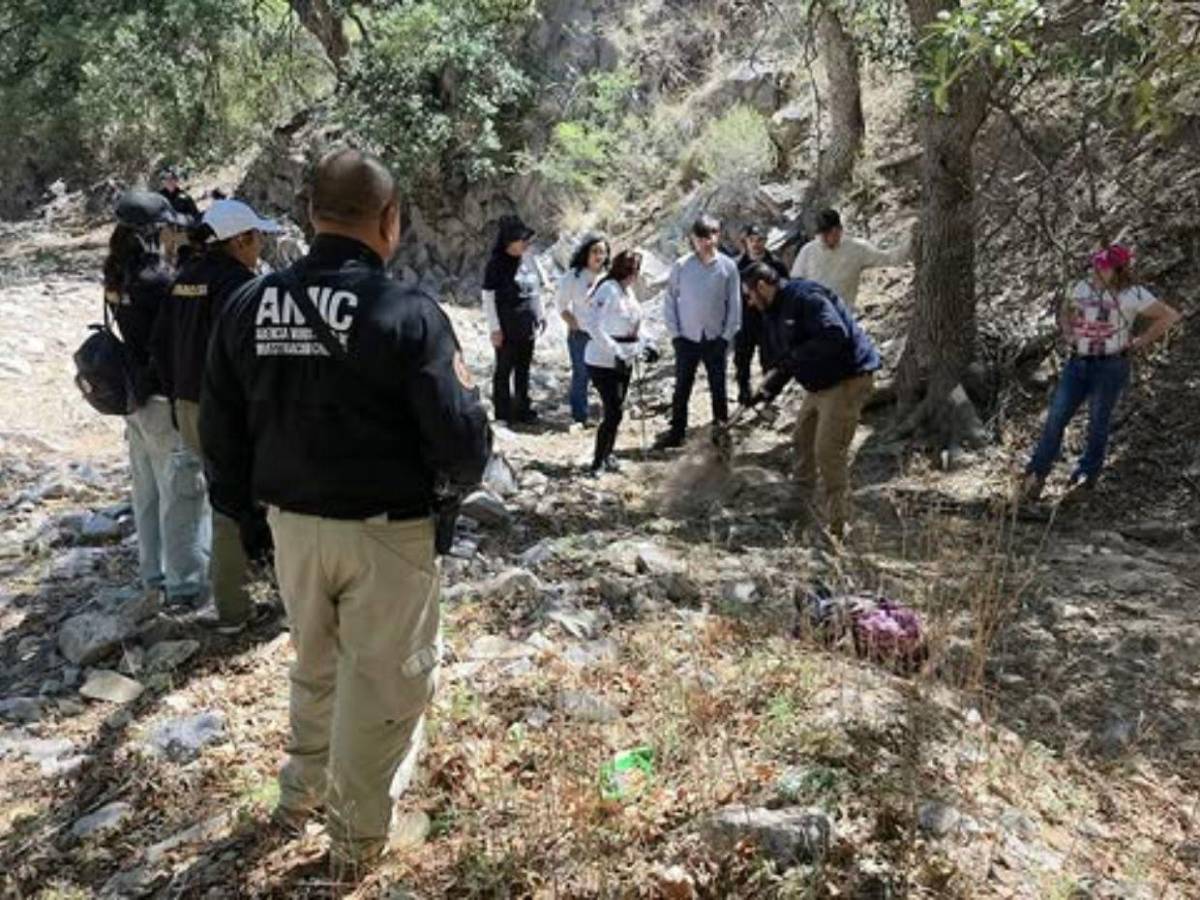 Voluntarios buscan en México a la madre de Savannah Guthrie tras pista anónima