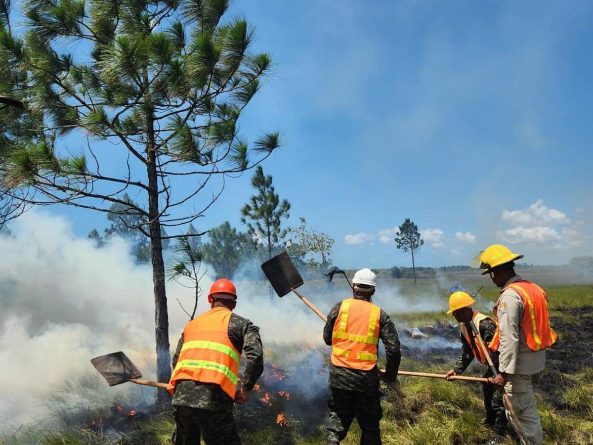 Solo durante el fin de semana se registraron 15 incendios forestales en Honduras