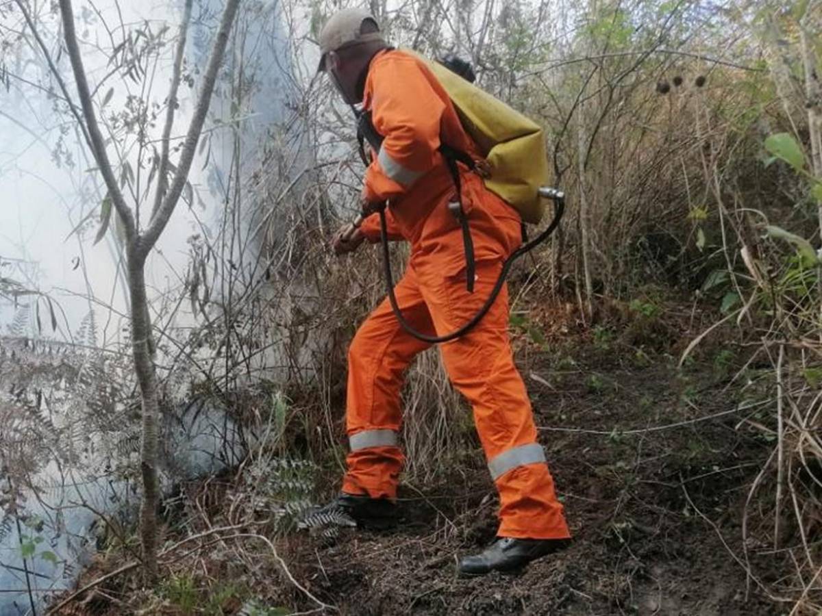 Solo durante el fin de semana se registraron 15 incendios forestales en Honduras