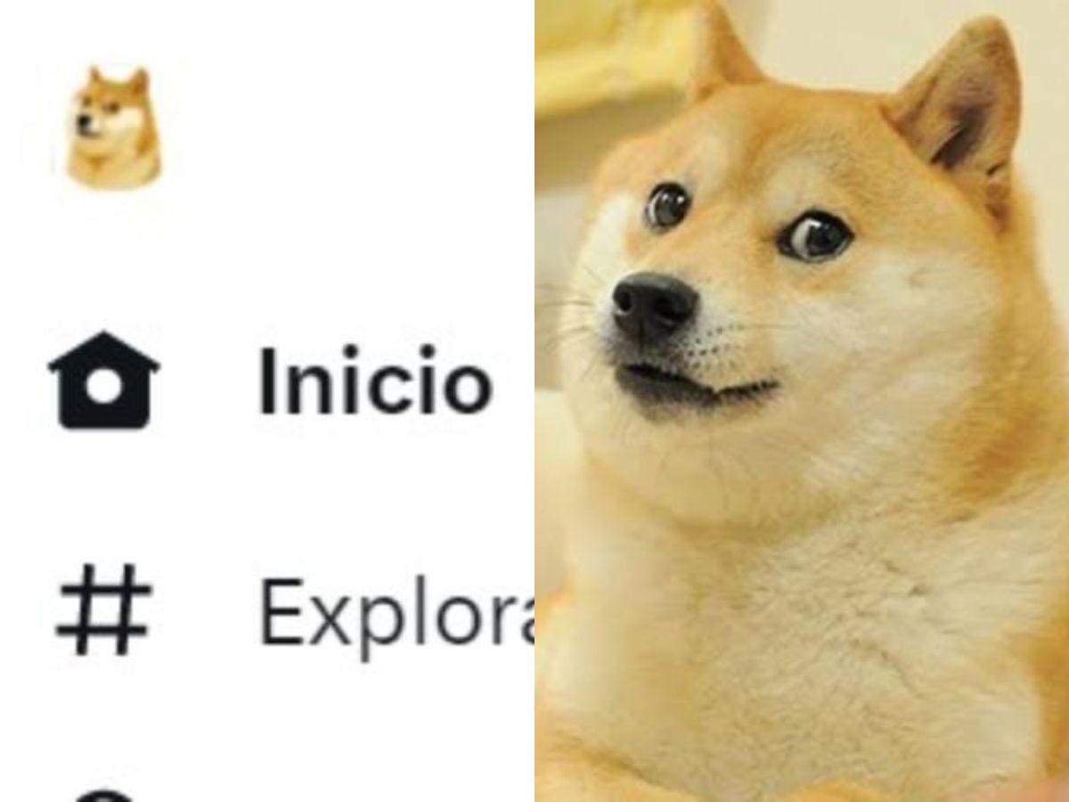 ¿Por qué Elon Musk puso al perro de Dogecoin como ícono de Twitter?