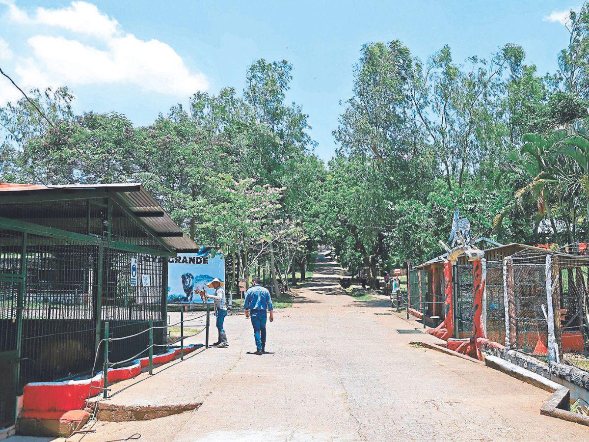 El zoológico Joya Grande era propiedad de Los Cachiros, pero fue incautado por la OABI.
